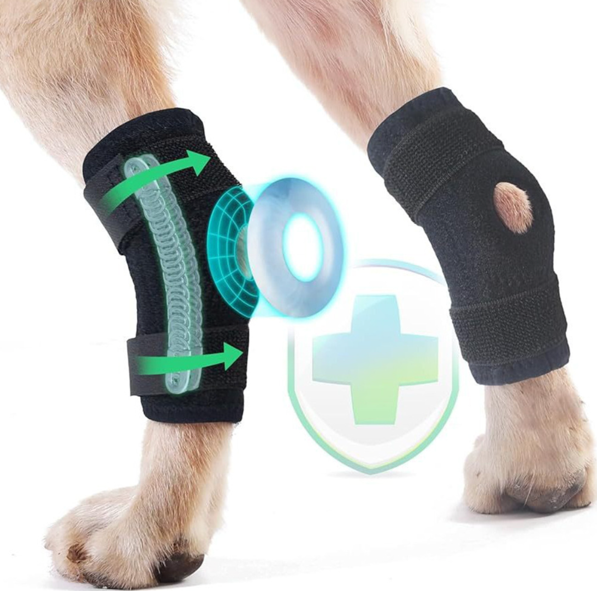 Canine Rear Leg Recovery Strap