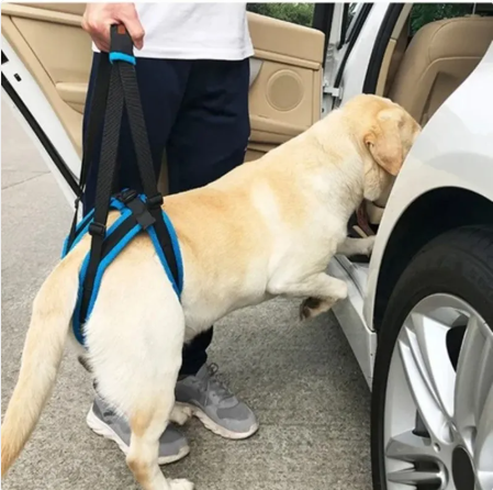 Support Lift Pet Harness