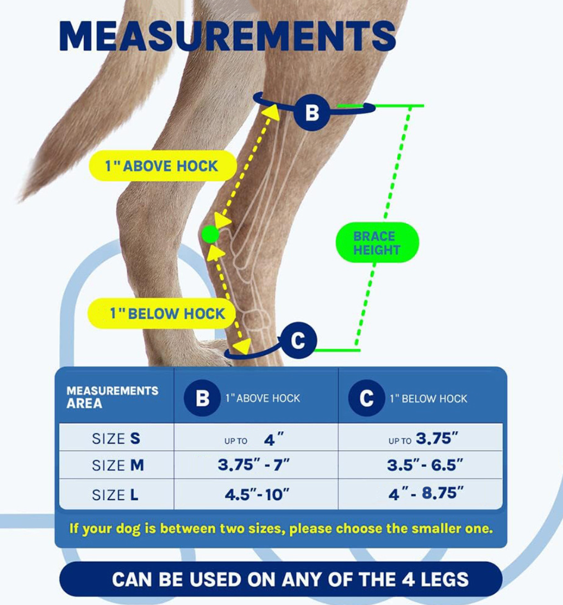 Canine Rear Leg Recovery Strap