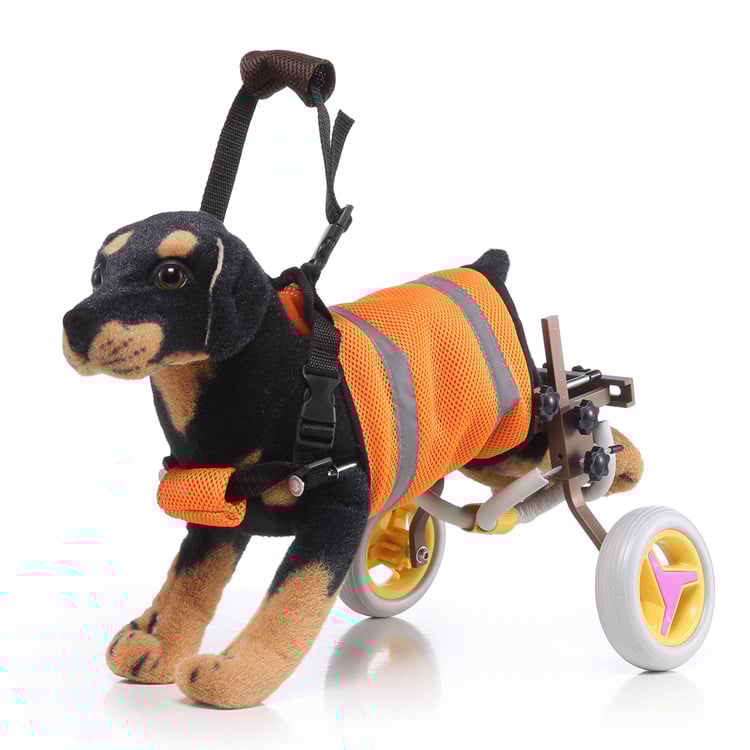 Pet Comfort Mobility Scooter