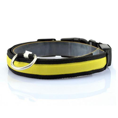 Glowing Pet Collar with LED Lights