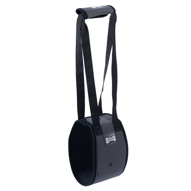 Canine Injury Prevention Harness