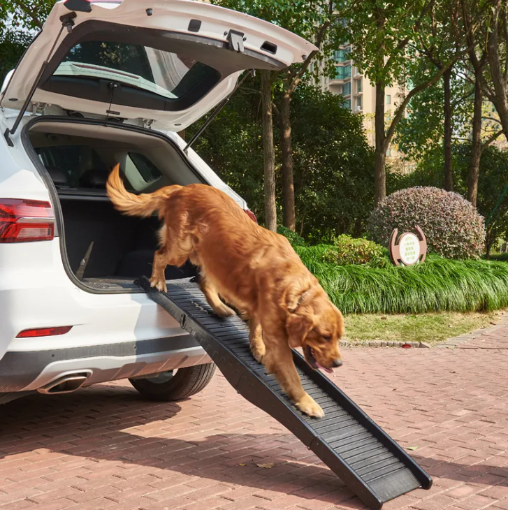 Foldable Pet Steps for Cars
