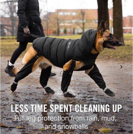 PawKeeper Suspender Dog Boots