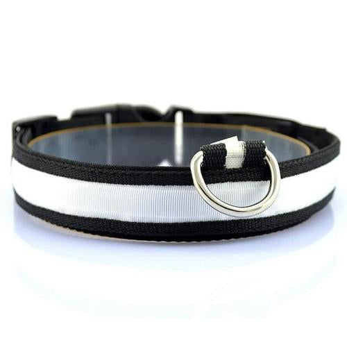 Glowing Pet Collar with LED Lights