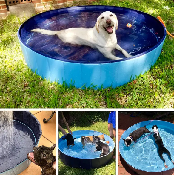 Portable Pet Splash Pool