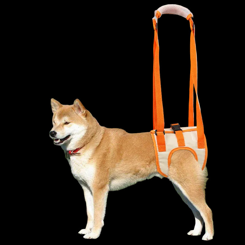 Adjustable Dog Lift Harness for Weak Hind Legs Support