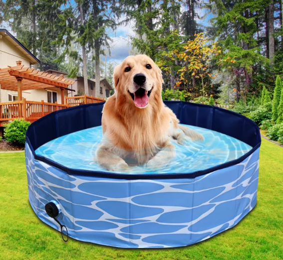 Portable Pet Splash Pool