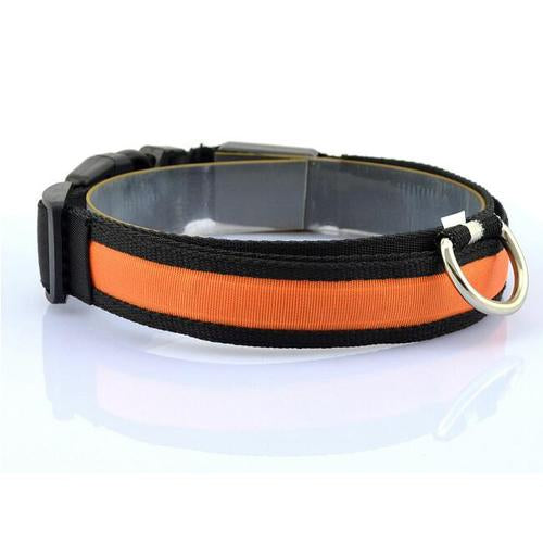 Glowing Pet Collar with LED Lights