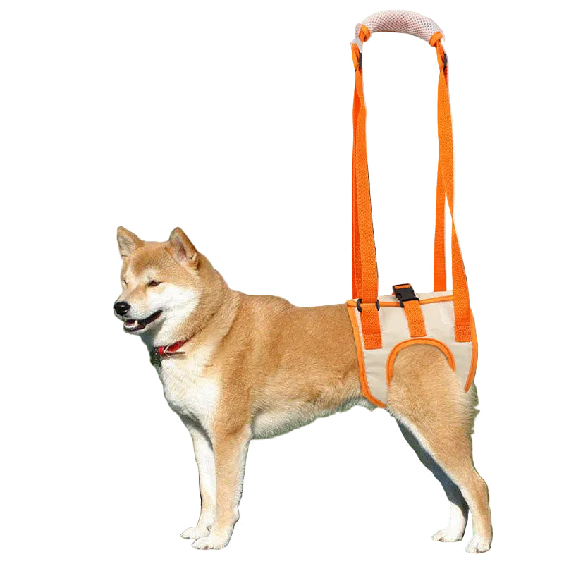Adjustable Dog Lift Harness for Weak Hind Legs Support
