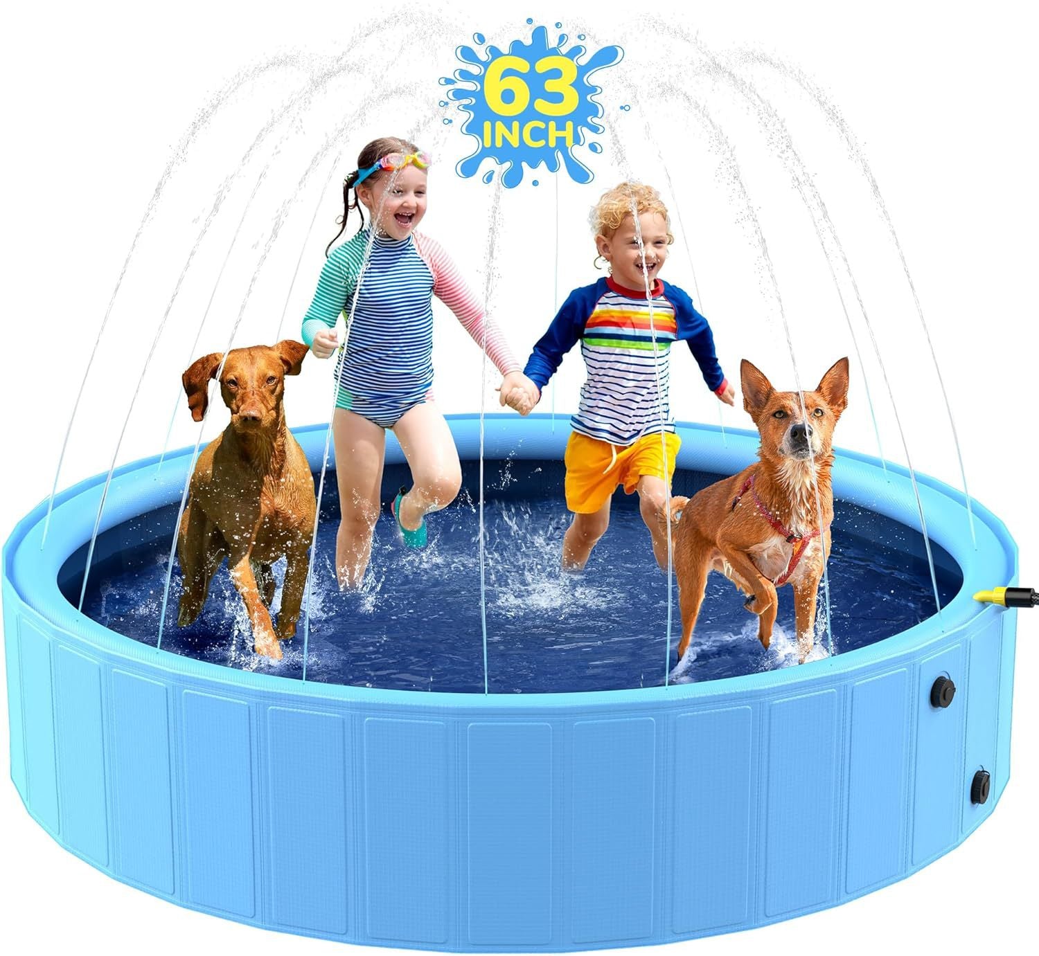 Collapsible Canine Pool & Play