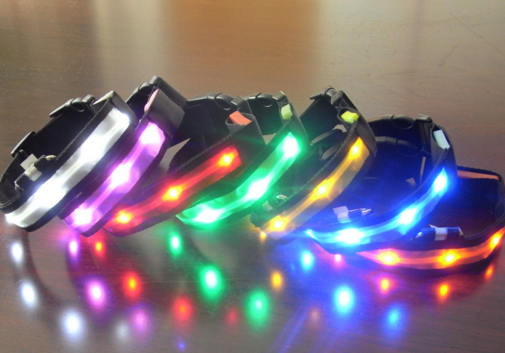 Glowing Pet Collar with LED Lights