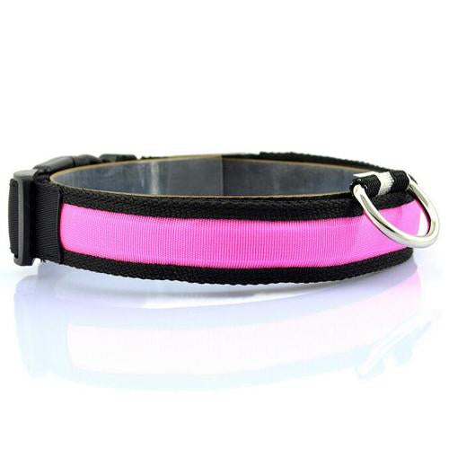 Glowing Pet Collar with LED Lights
