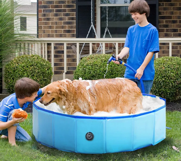 Portable Pet Splash Pool