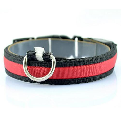 Glowing Pet Collar with LED Lights