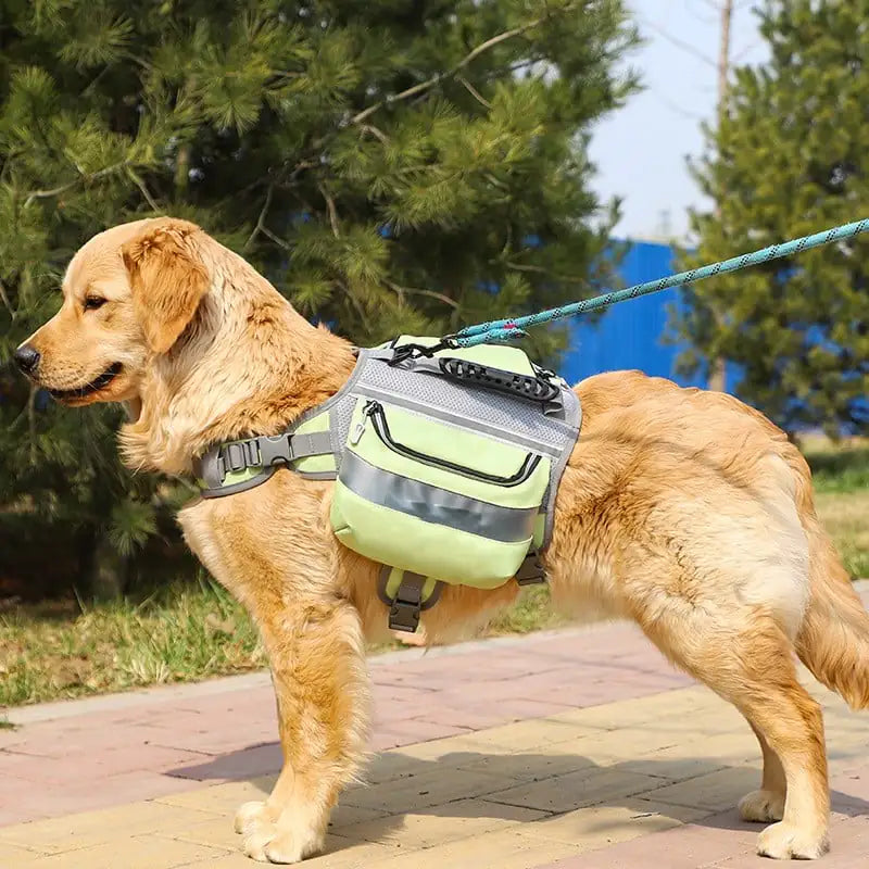 Large Outdoor Dog Backpack for Dogs