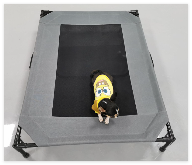 Large Elevated Outdoor Dog Bed