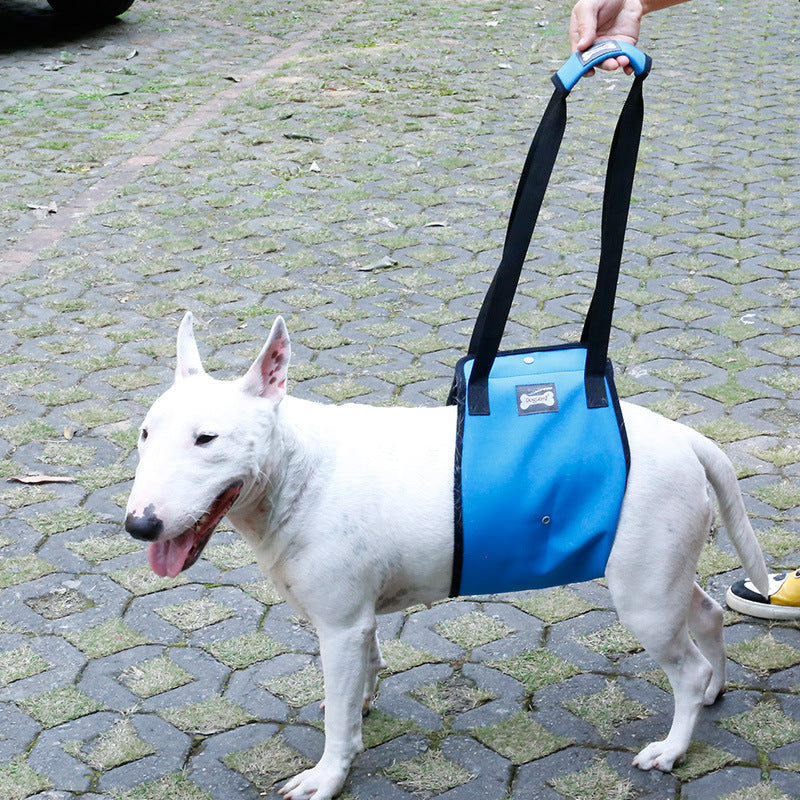 Canine Injury Prevention Harness