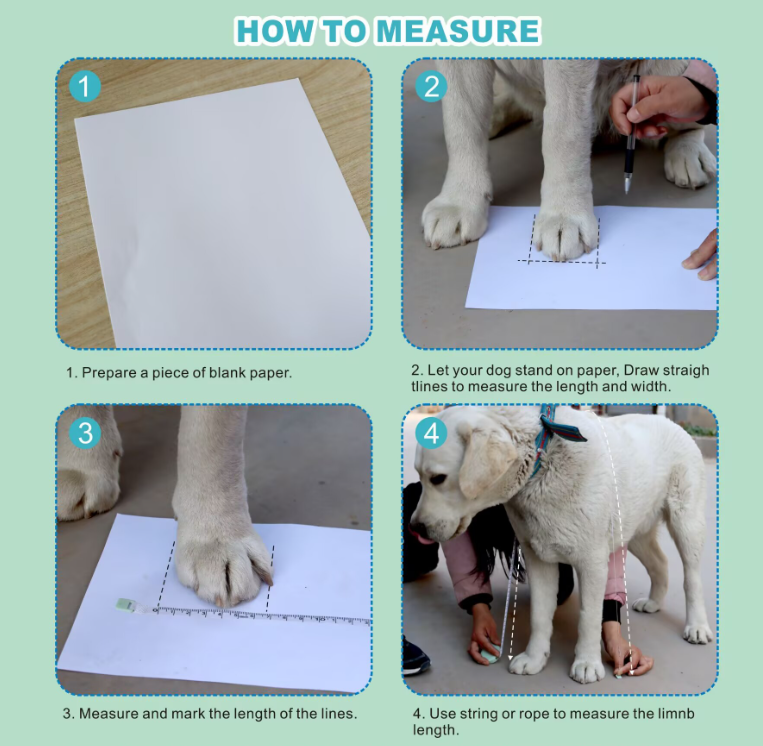 PawKeeper Suspender Dog Boots