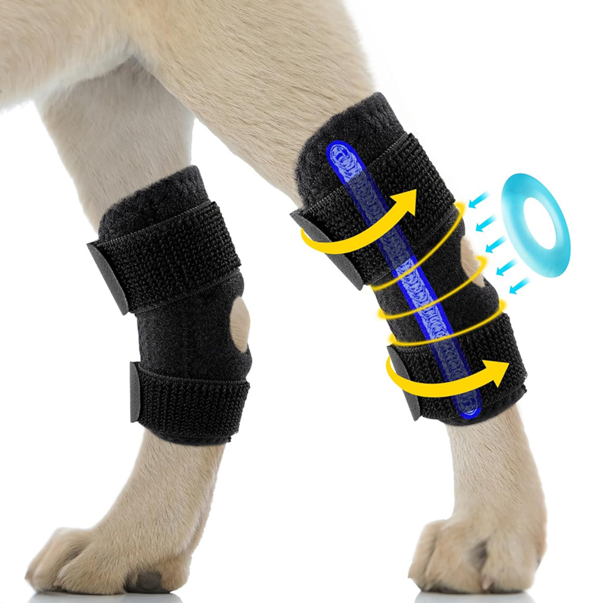 Canine Rear Leg Recovery Strap