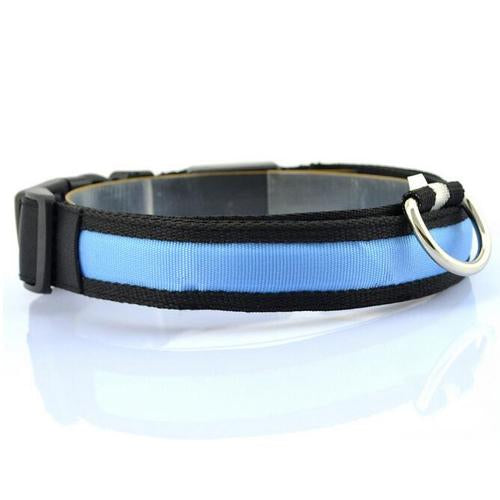 Glowing Pet Collar with LED Lights