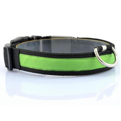Glowing Pet Collar with LED Lights