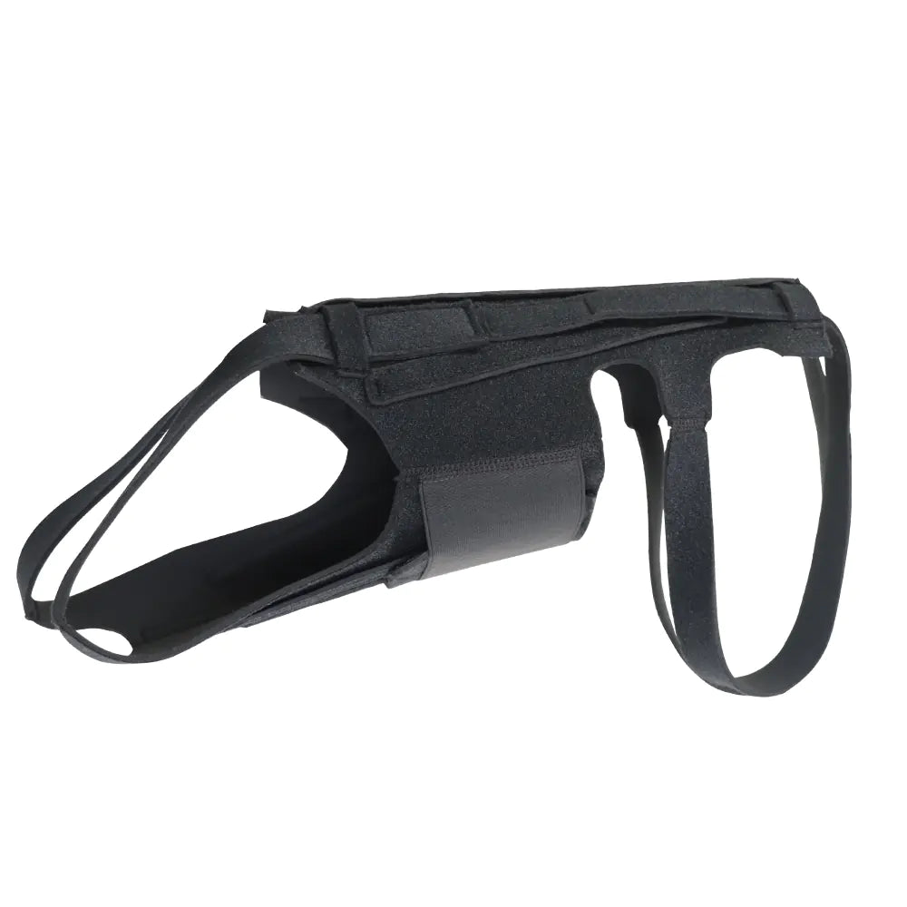 Dog Back Brace for IVDD, Arthritis, and Recovery