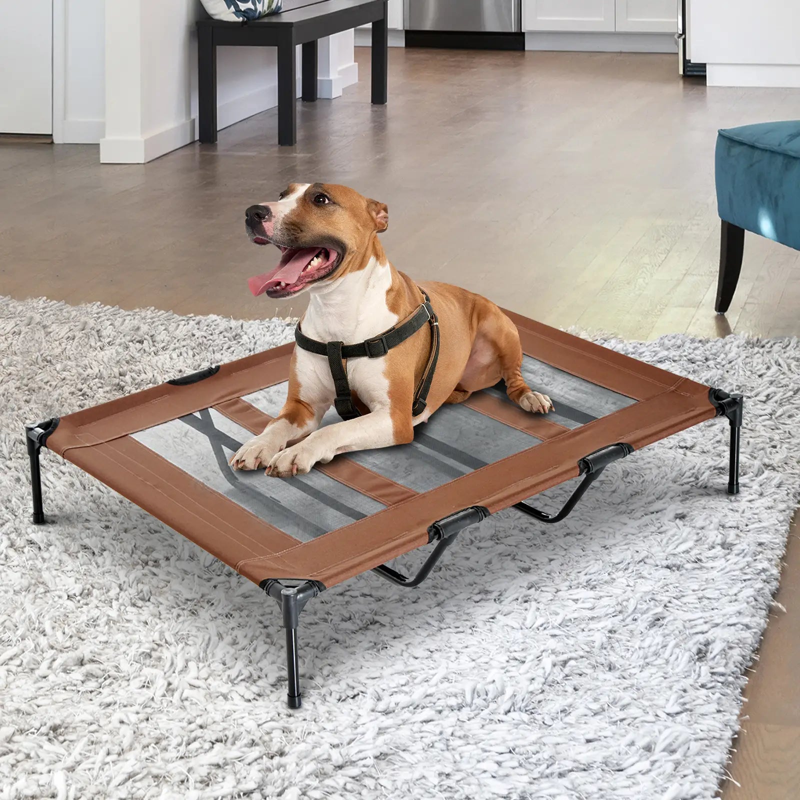 Elevated Dog Bed, Raised Dog Cot for XL Sized Dogs, Indoor & Outdoor, 48" x 36" x 9", Coffee