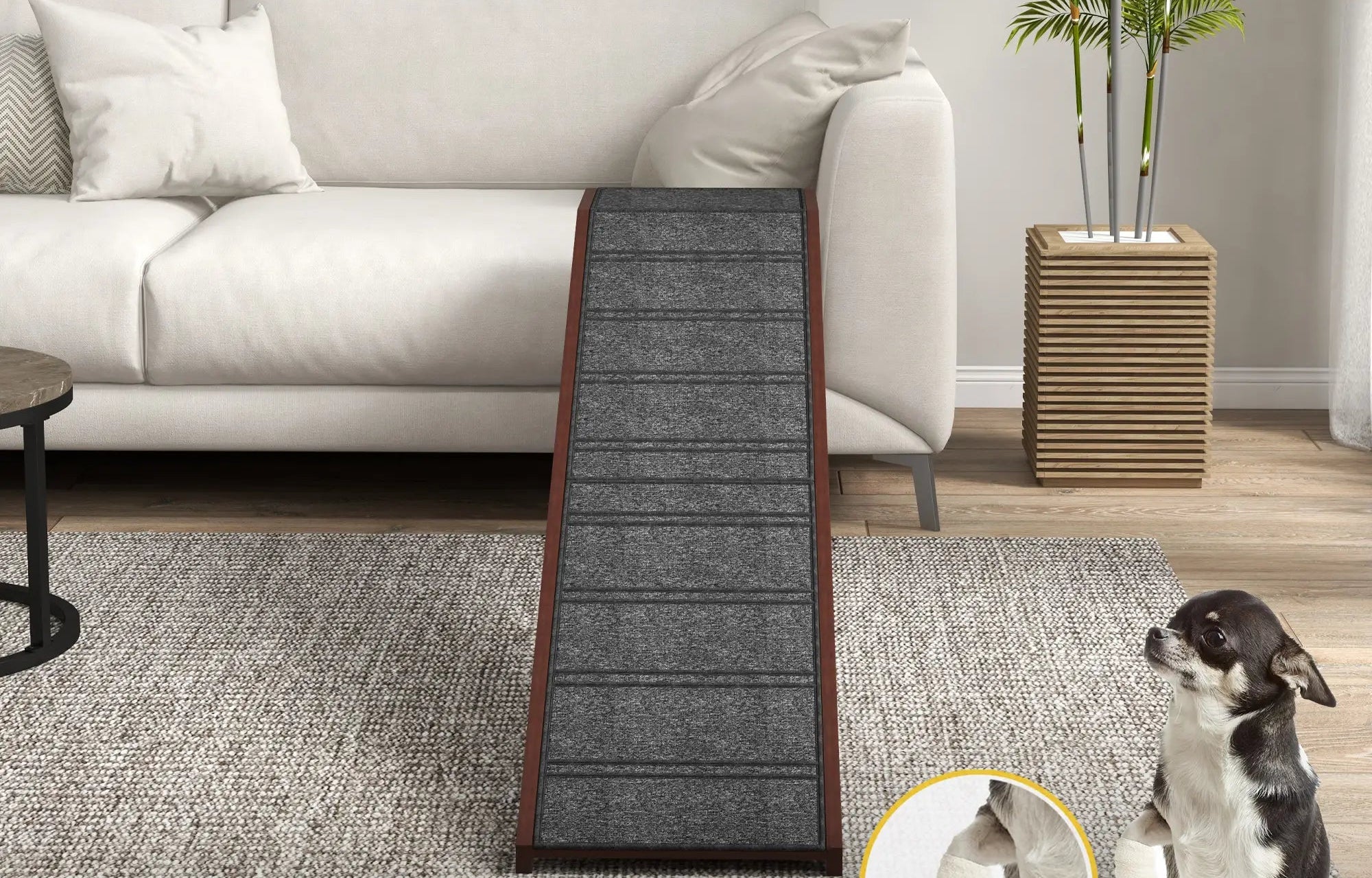 Pet ramp in a living room setting with a dog, text explaining benefits, and a plant in the background.
